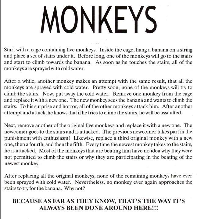 Monkeys www.jordanmaxwell.com/articles/quotes/images/monkeys.jpg